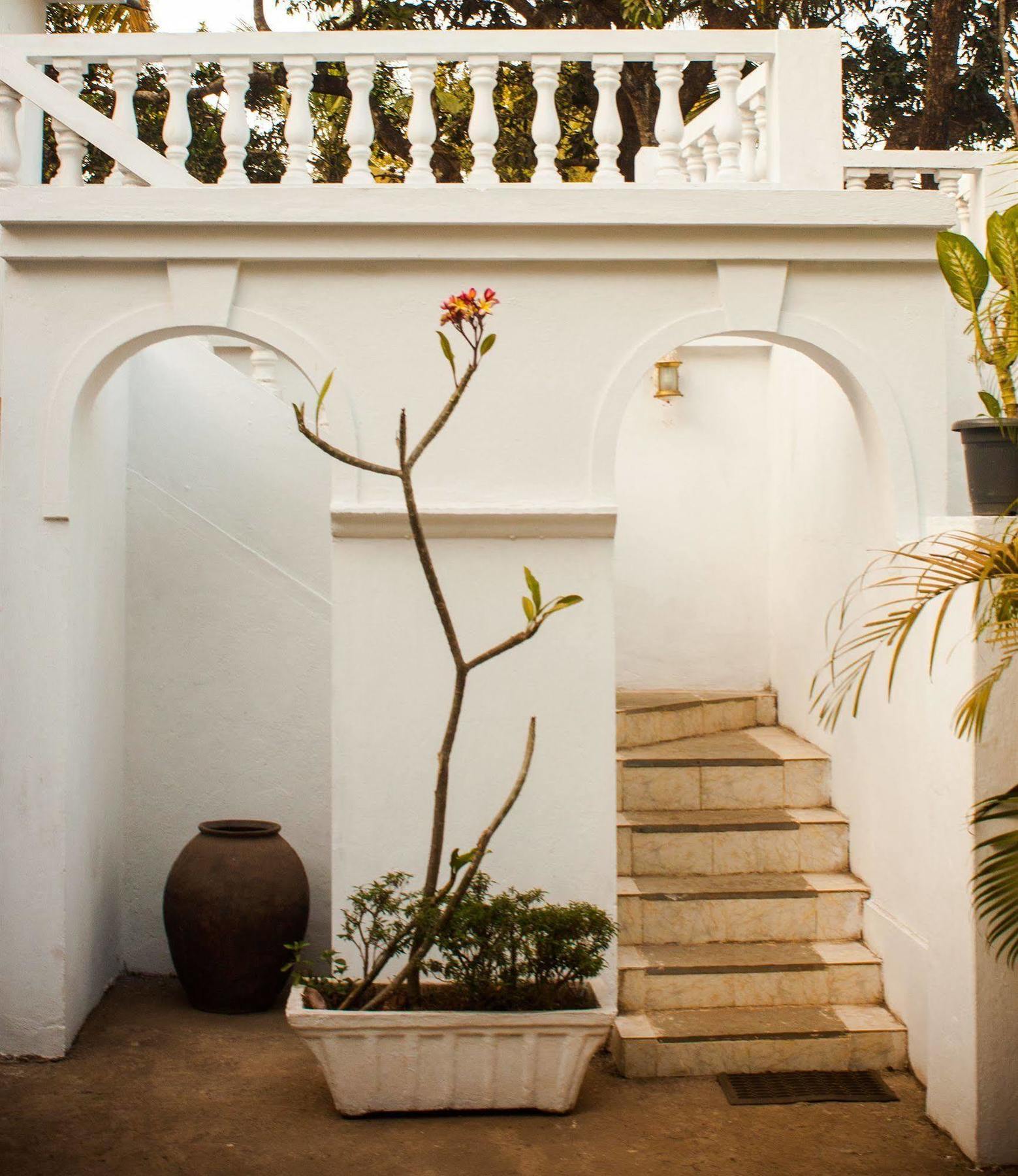 Quarto De Casa Tipri Saligao Exterior photo